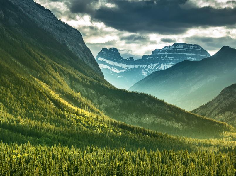 gerflor-environnement-engagements-carbone